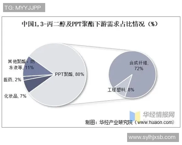杭州排球队技术分析与战术创新的深度探讨与展望